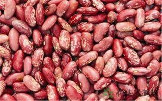 娱乐吃瓜酱云南的花,揭秘娱乐界的“瓜田”盛景